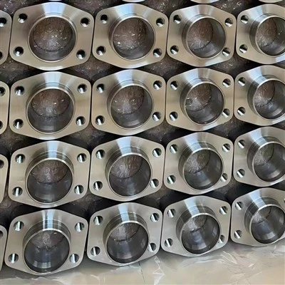 Rustfrit stål 304 SAE Flange
